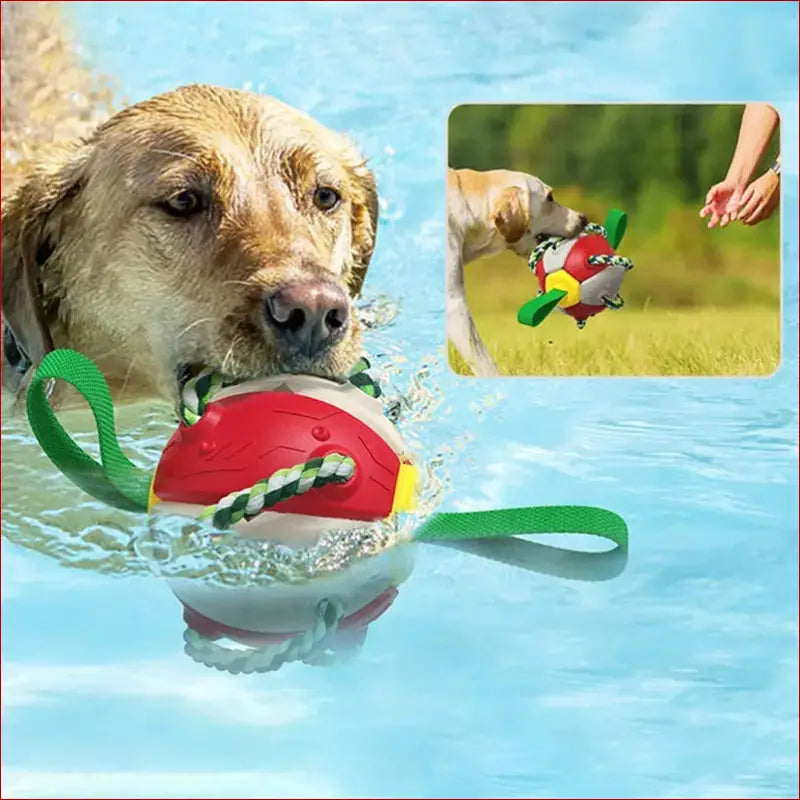 Interactive dog soccer ball