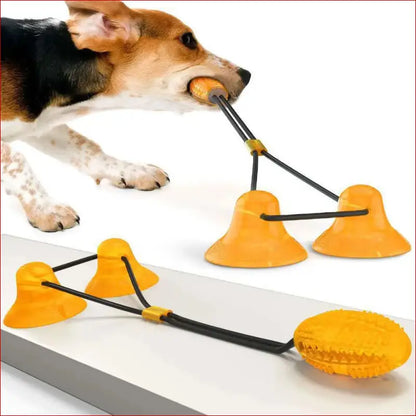 Interactive suction cup. Dog Chew Toy. Pet toys. - Happy Pets