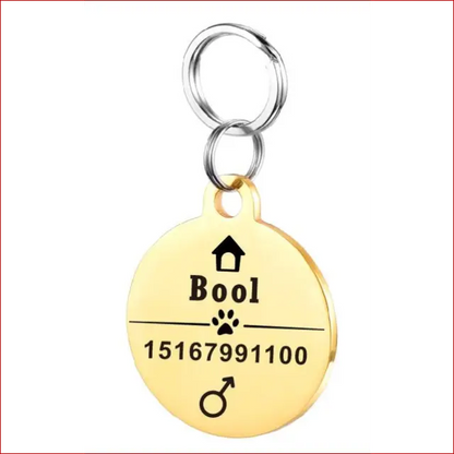 Personalized Dog ID Tag. Pet Collar. Outdoor Pet Safety. - Happy Pets