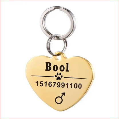 Personalized Dog ID Tag. Pet Collar. Outdoor Pet Safety. - Happy Pets