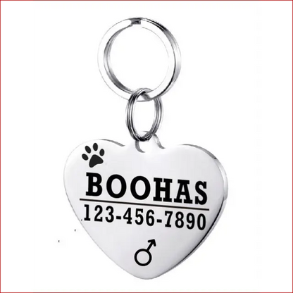 Personalized Dog ID Tag. Pet Collar. Outdoor Pet Safety. - Happy Pets