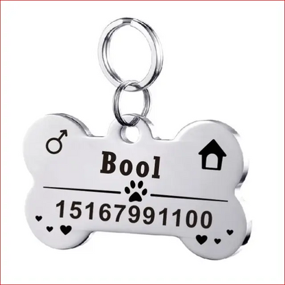 Personalized Dog ID Tag. Pet Collar. Outdoor Pet Safety. - Happy Pets