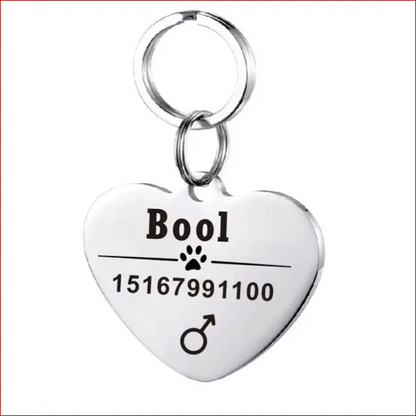 Personalized Dog ID Tag. Pet Collar. Outdoor Pet Safety. - Happy Pets