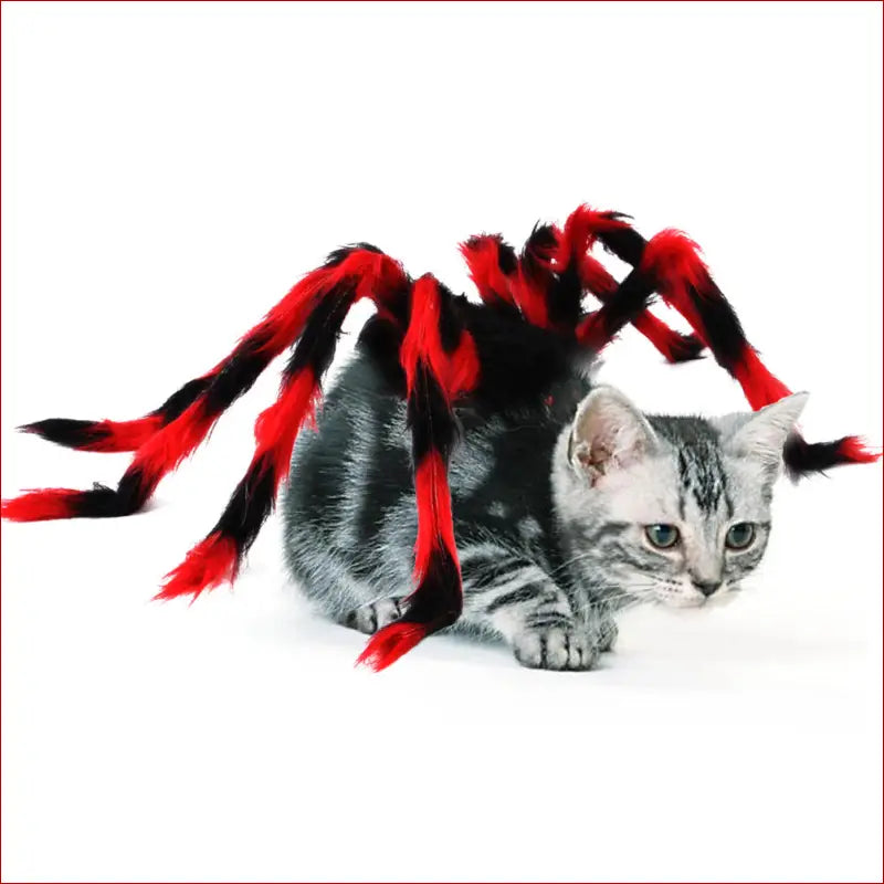 Pet cat dog halloween creative spider costume - pet