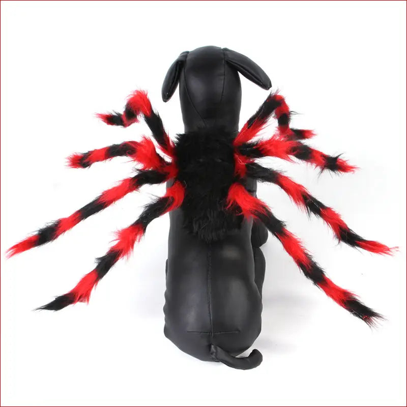 Pet cat dog halloween creative spider costume - pet