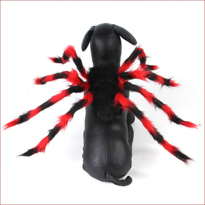 Pet Halloween costume. Spooky Spider Halloween Costume for Cats and Dogs. - Happy Pets