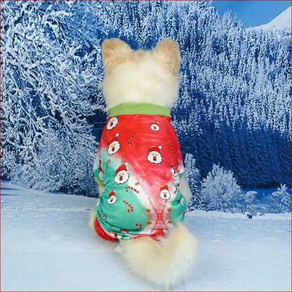 Pet Christmas Clothes. Festive Christmas Outfit for Pets. - Happy Pets