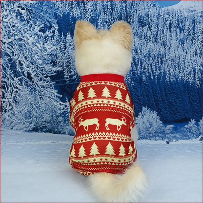 Pet Christmas Clothes. Festive Christmas Outfit for Pets. - Happy Pets