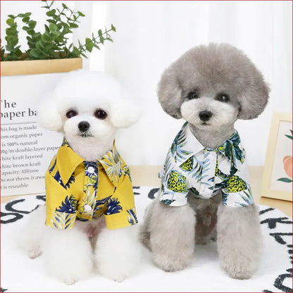 Summer Dog Apparel - Lightweight & Stylish Pet Clothing. - Happy Pets