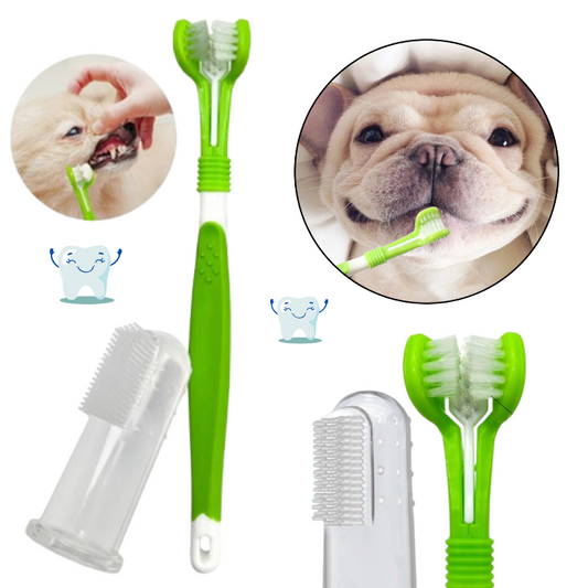 Pet dental care kit with toothbrushes and silicone finger brushes, designed for dogs and cats, displayed clearly for easy at-home oral hygiene ppal image