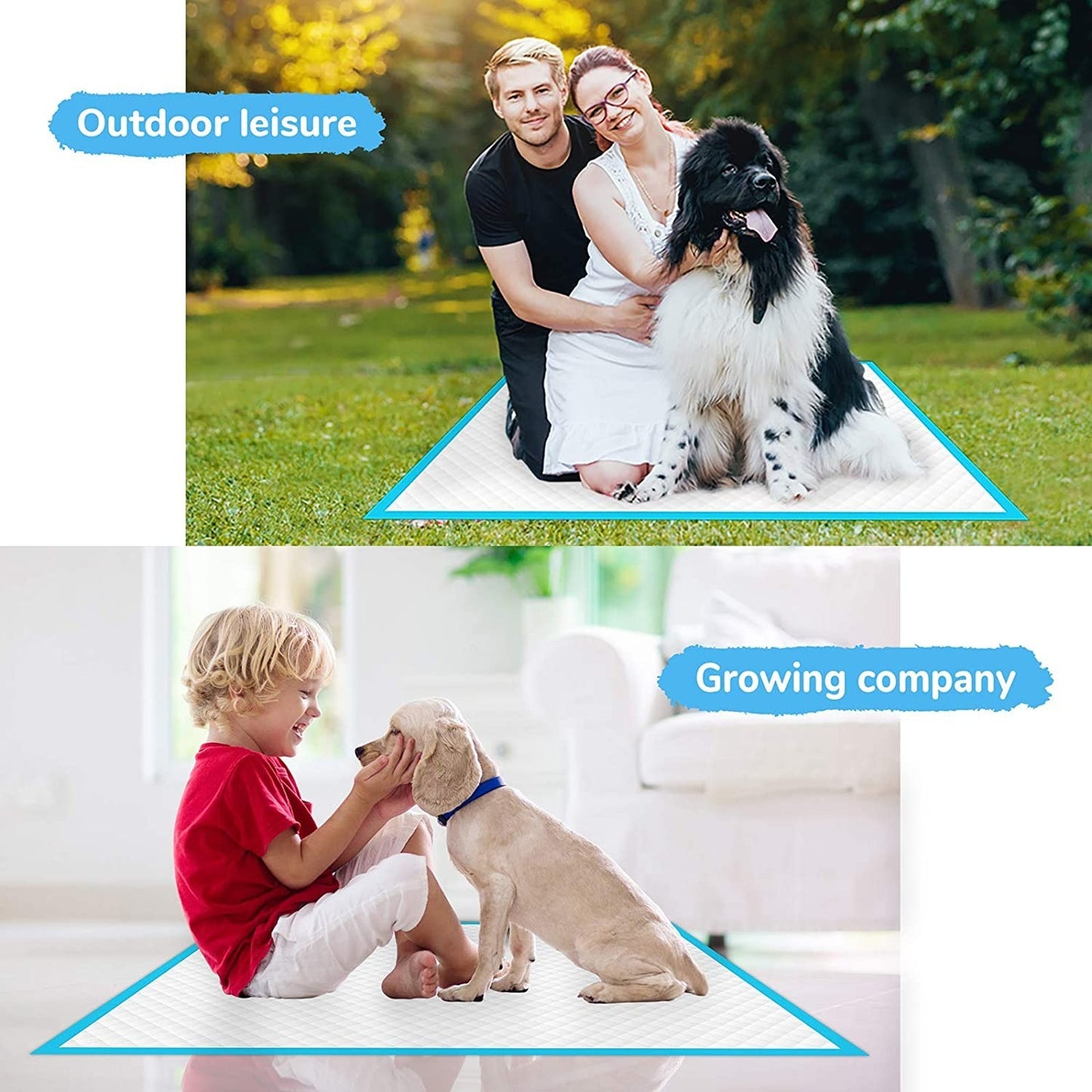 Family with their dog in a park and a child with a pet in a living room, showcasing the versatility of pet diaper pads in different environments