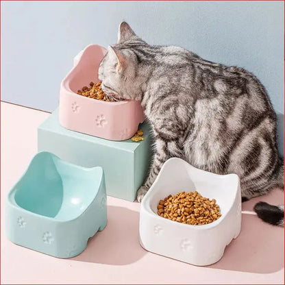 Premium Quality Ceramic Pet Bowl – Durable and Stylish Feeding Solution. - Happy Pets