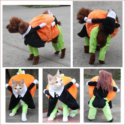 Pet Halloween Costume: Fun and Spooky Outfits for Your Furry Friend. - Happy Pets