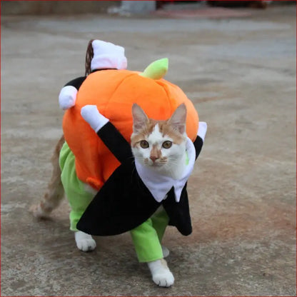 Pet Halloween Costume: Fun and Spooky Outfits for Your Furry Friend. - Happy Pets