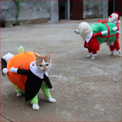 Pet Halloween Costume: Fun and Spooky Outfits for Your Furry Friend. - Happy Pets