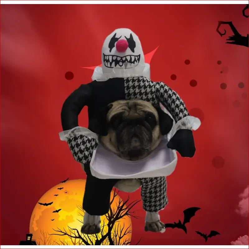 Pet halloween costume / demon transformation - pet