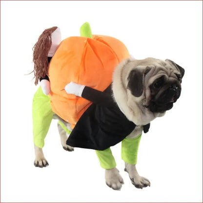 Pet Halloween Costume: Fun and Spooky Outfits for Your Furry Friend. - Happy Pets