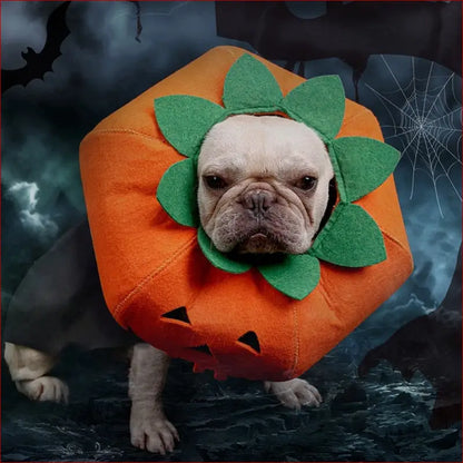 Cute Pumpkin Collars for Pets. Perfect Halloween Accessories. - Happy Pets