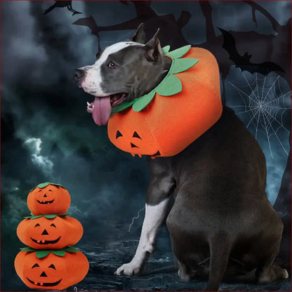 Cute Pumpkin Collars for Pets. Perfect Halloween Accessories. - Happy Pets