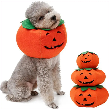 Cute Pumpkin Collars for Pets. Perfect Halloween Accessories. - Happy Pets