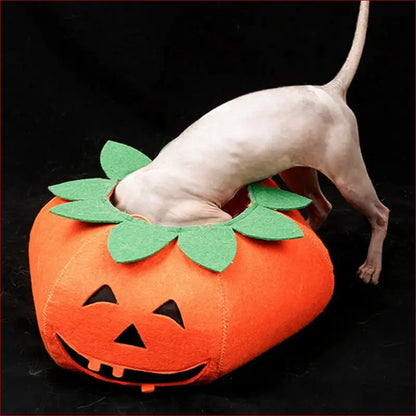 Cute Pumpkin Collars for Pets. Perfect Halloween Accessories. - Happy Pets