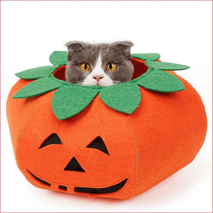 Cute Pumpkin Collars for Pets. Perfect Halloween Accessories. - Happy Pets