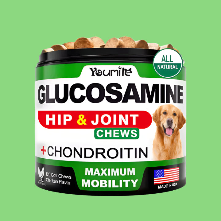 Pet Hip & Joint Supplement Chondroitin with Glucosamine as the main ingredient to support joint health and mobility for pets