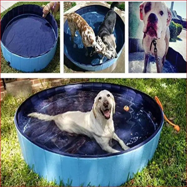 Pet pool-dog swimming pool- bath supplies 