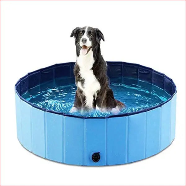 Pet pool-dog swimming pool-bath supplies 