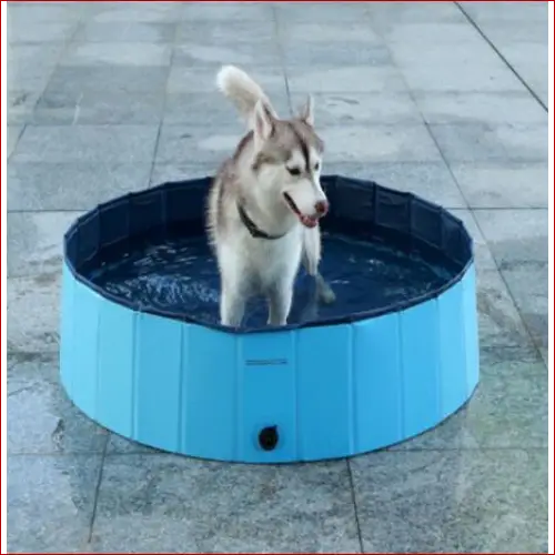 Pet pool-dog swimming pool-bath supplies 