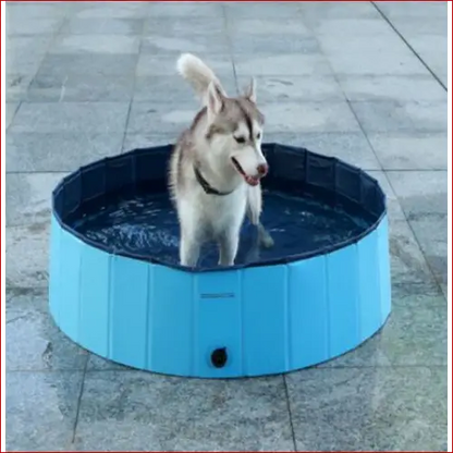 Foldable Dog Pool – Large Pet Swimming and Bathing Supplies. - Happy Pets