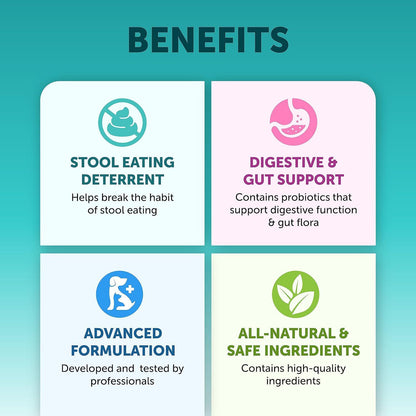 Image highlighting the benefits of Pet Probiotic Chewable Tablets for dogs, including improved digestion, gut balance, and overall wellness