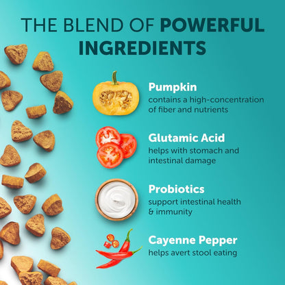 Image highlighting the high-quality ingredients of Pet Probiotic Chewable Tablets, including natural pumpkin, for optimal digestive support in dogs