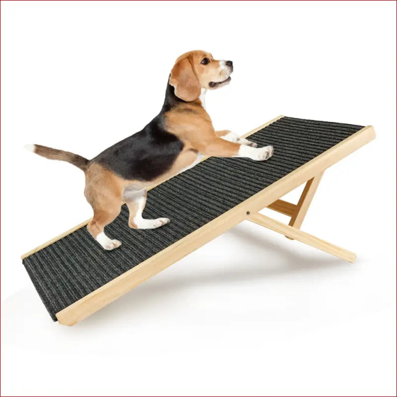 Pet ramp ladder /adjustable angle/dogs and cats - pet