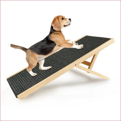 Pet Ramp Ladder – Adjustable Angle for Dogs and Cats. - Happy Pets