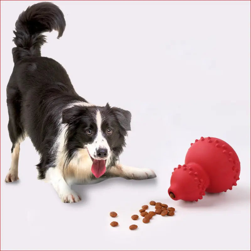 Pet toy natural rubber resistant to biting and grinding