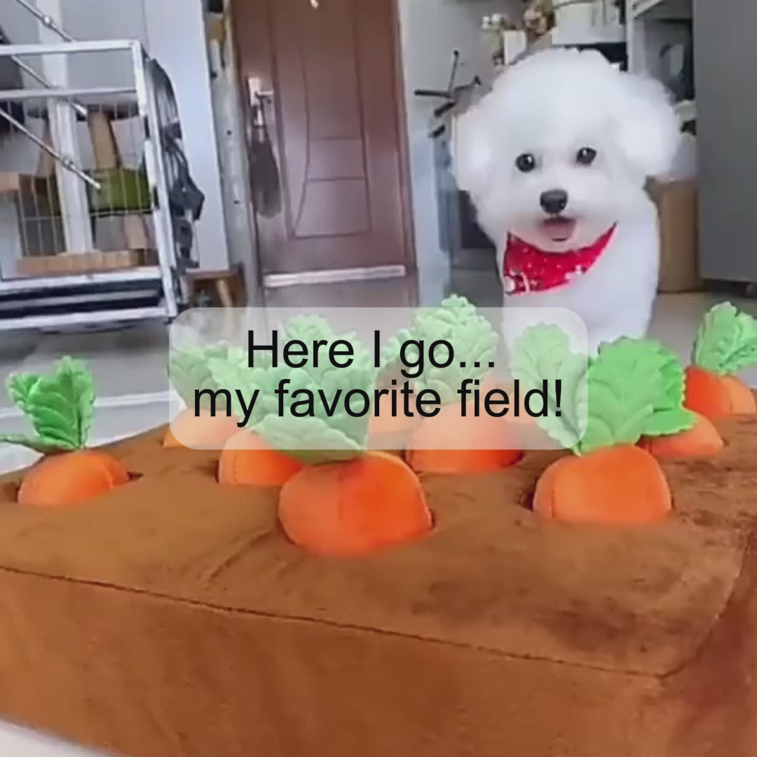 product video