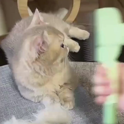 video showing the product in action