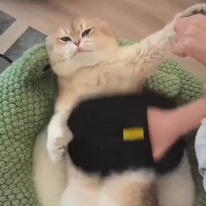 Reusable Pet Hair Remover Glove video