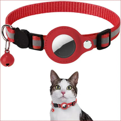 Protective Pet Cone Collar. Recovery & Comfort for Your Pet. - Happy Pets