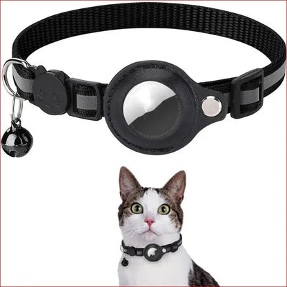 Protective Pet Cone Collar. Recovery & Comfort for Your Pet. - Happy Pets