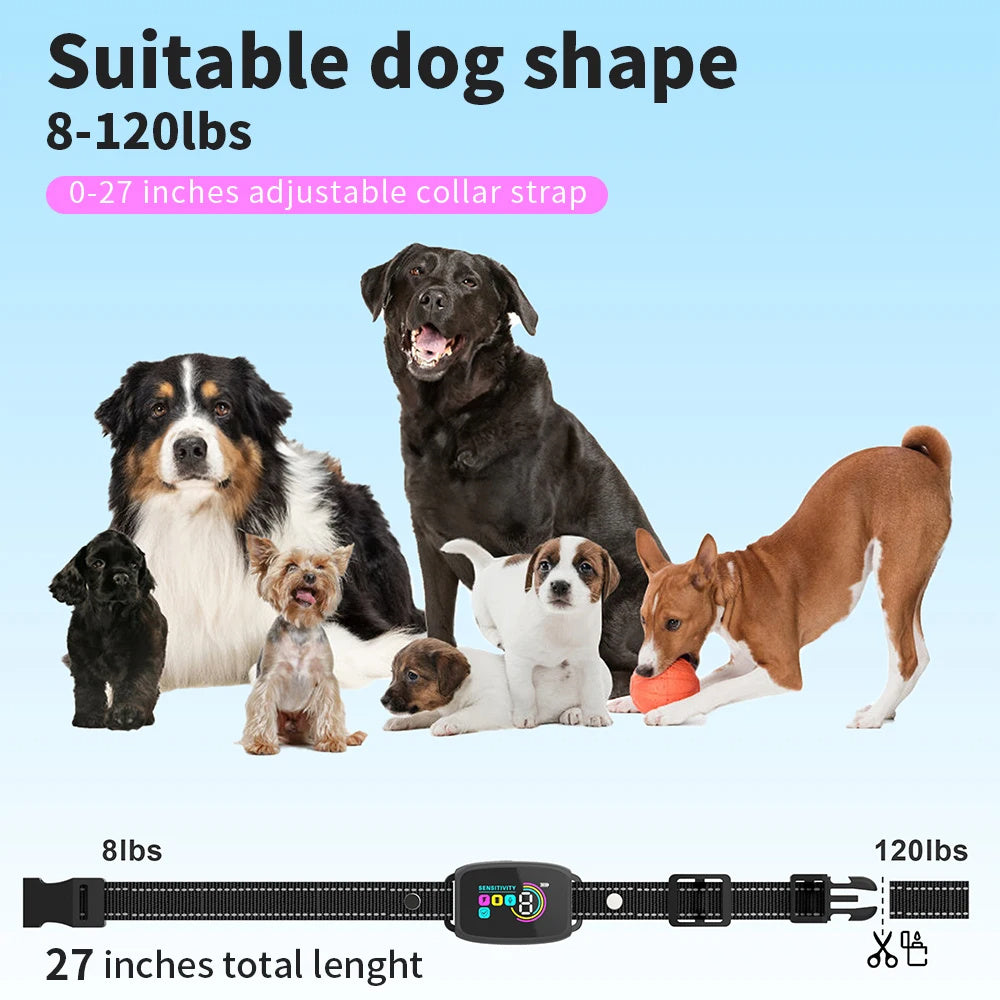 picture of many dogs and dimensions of dog barking