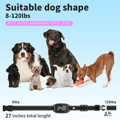 picture of many dogs and dimensions of dog barking