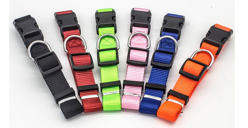 Main image showing all color variants of the Soft Nylon Pet Collar, featuring a durable plastic buckle, metal D-ring, and neoprene lining for comfort. Available in red, rose red, pink, orange, green, black, blue, sky blue, and purple