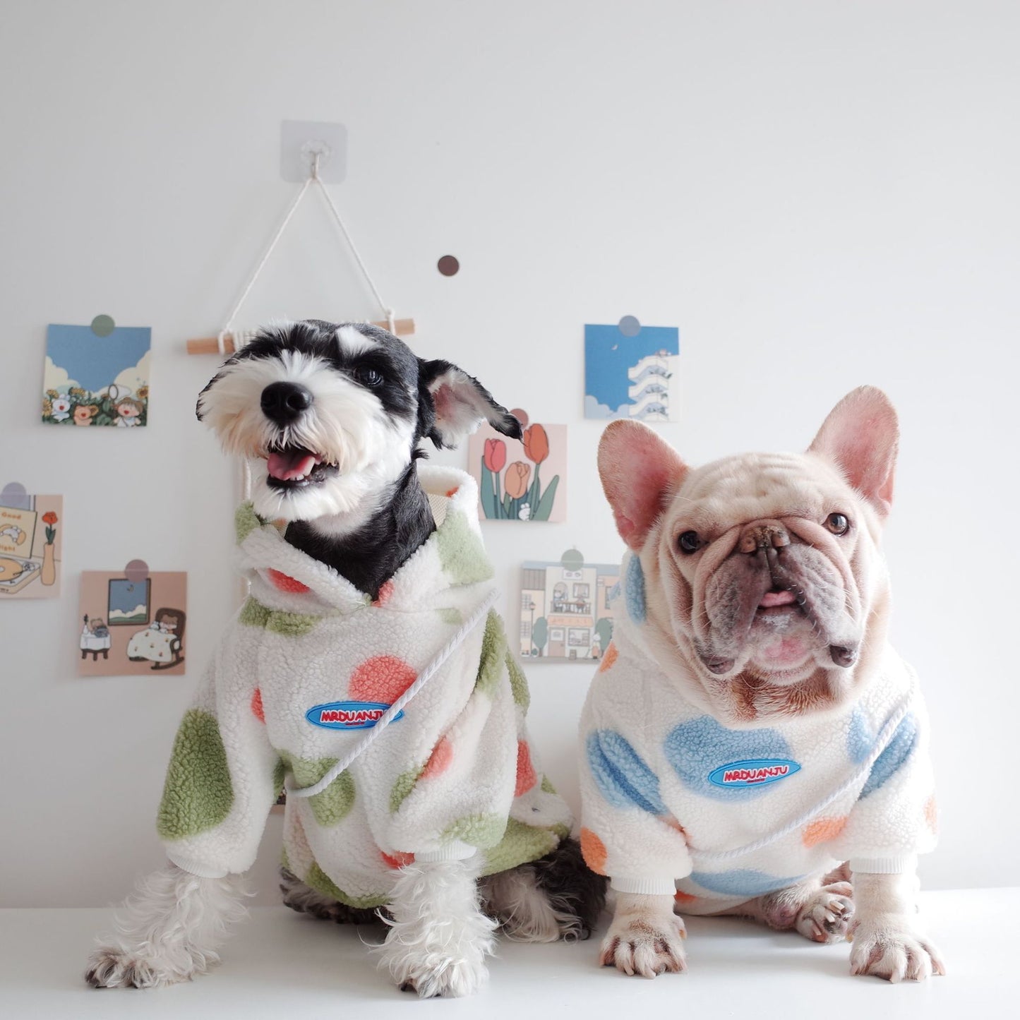 Two adorable dogs wearing cozy fleece hoodies with dot print design.