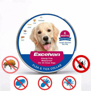 Waterproof adjustable flea and tick collar for dogs and cats, 25in gray